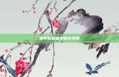快手新客首单低价特惠