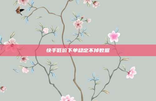 快手低价下单稳定不掉数据