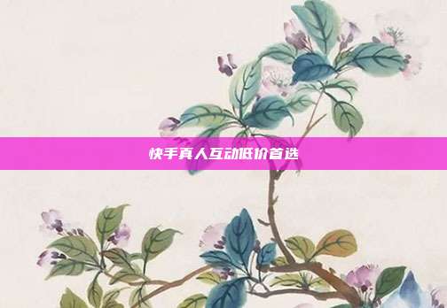 快手真人互动低价首选