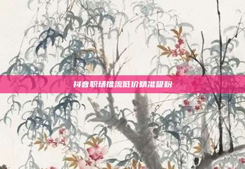 抖音职场推流低价精准吸粉