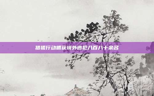 猎狐行动抓获境外逃犯八百八十余名