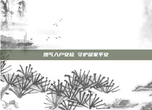 燃气入户安检 守护居家平安