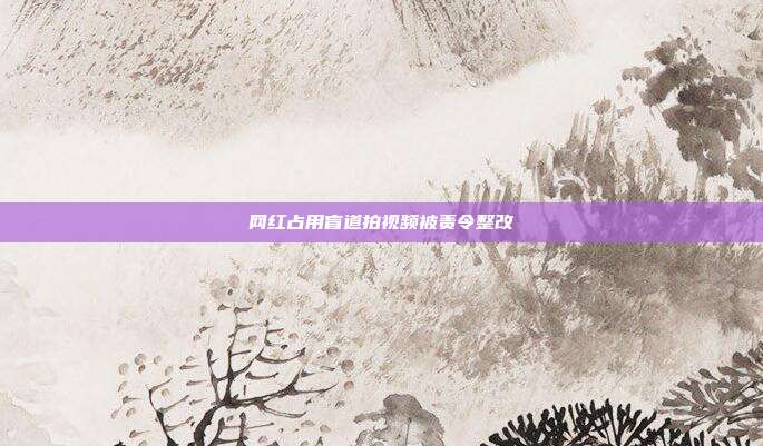 网红占用盲道拍视频被责令整改
