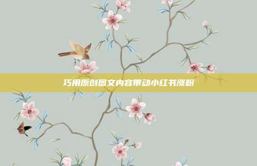 巧用原创图文内容带动小红书涨粉