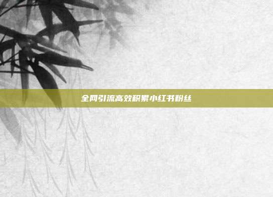 全网引流高效积累小红书粉丝