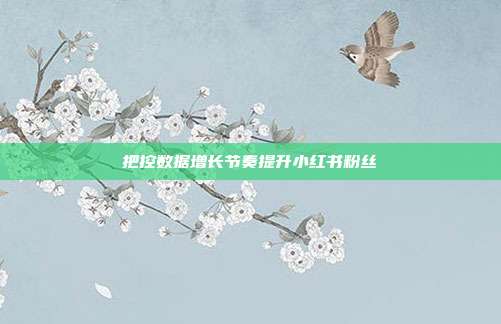 把控数据增长节奏提升小红书粉丝