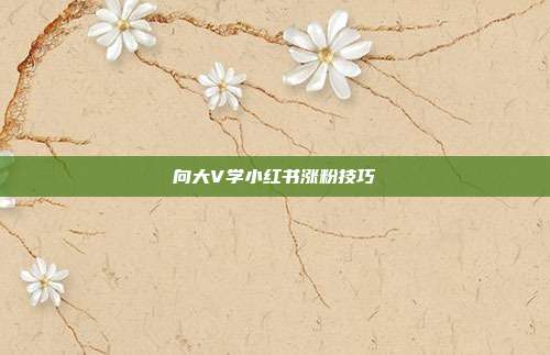 向大V学小红书涨粉技巧