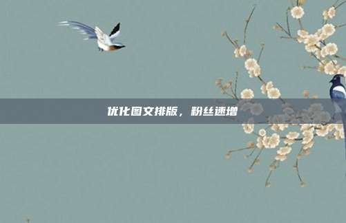 优化图文排版，粉丝速增