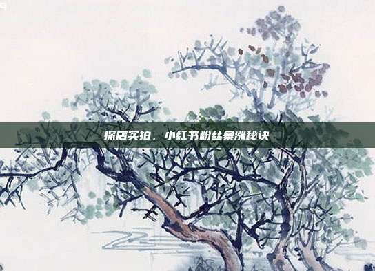 探店实拍，小红书粉丝暴涨秘诀