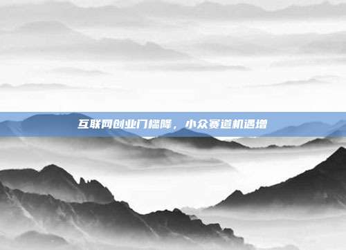 互联网创业门槛降，小众赛道机遇增