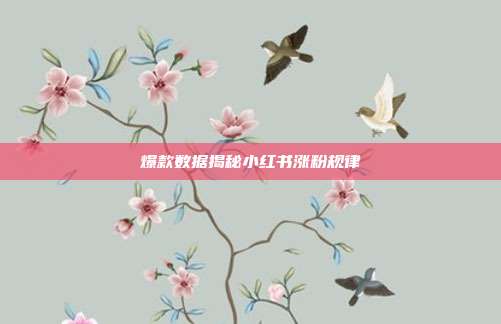 爆款数据揭秘小红书涨粉规律