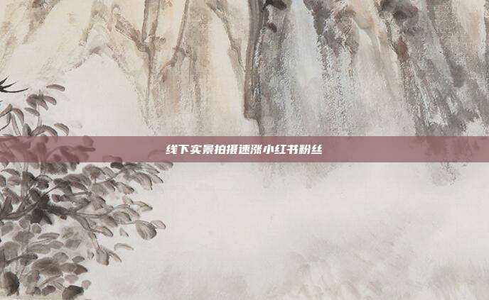 线下实景拍摄速涨小红书粉丝