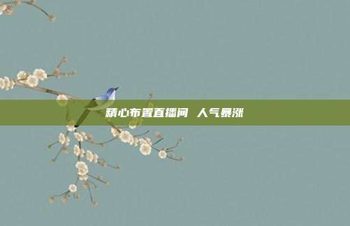精心布置直播间 人气暴涨