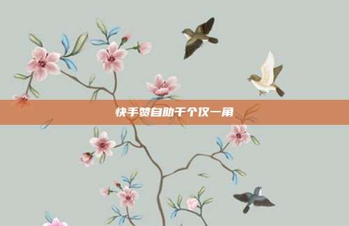 快手赞自助千个仅一角