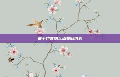 快手抖音粉丝点赞低价购