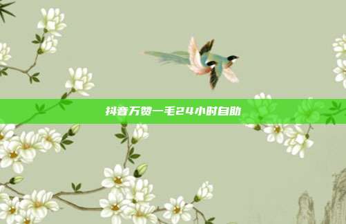 抖音万赞一毛24小时自助