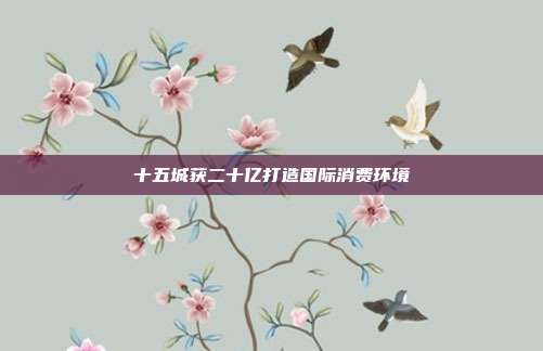 十五城获二十亿打造国际消费环境