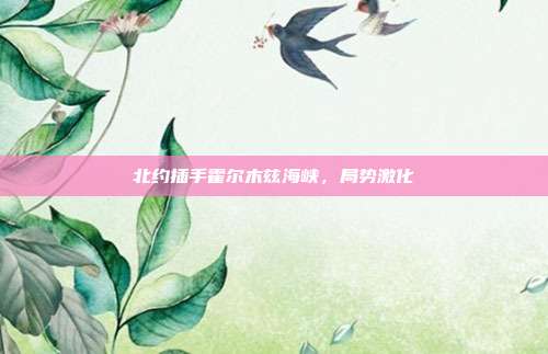 北约插手霍尔木兹海峡,局势激化