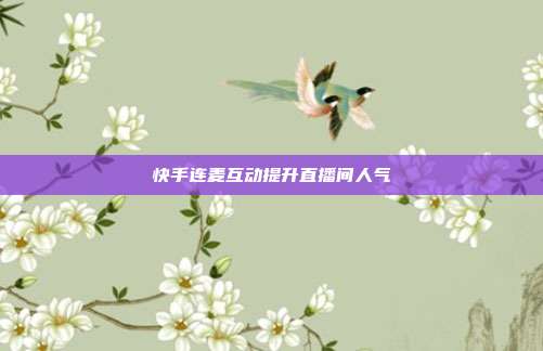 快手连麦互动提升直播间人气