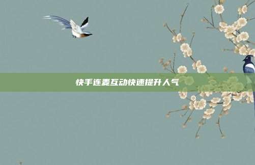 快手连麦互动快速提升人气