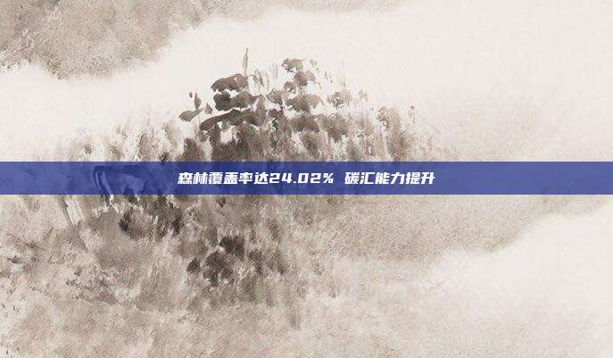 森林覆盖率达24.02% 碳汇能力提升