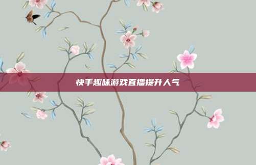 快手趣味游戏直播提升人气