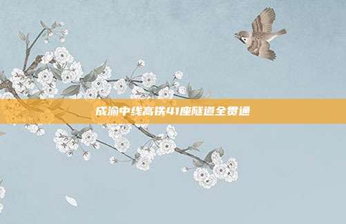 成渝中线高铁41座隧道全贯通