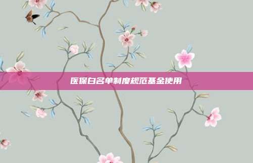 医保白名单制度规范基金使用