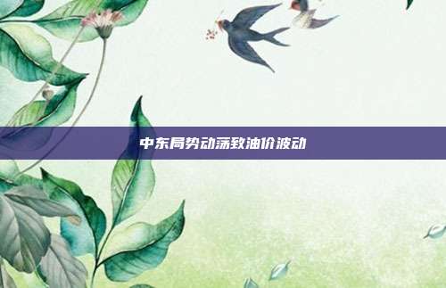 中东局势动荡致油价波动