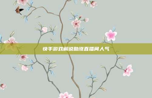 快手游戏解说助涨直播间人气