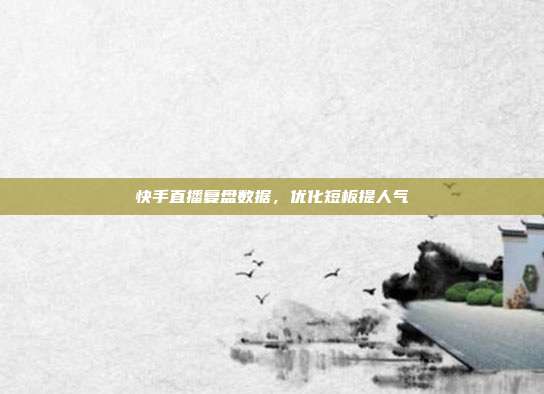快手直播复盘数据,优化短板提人气