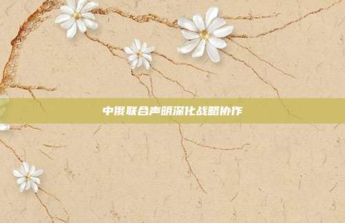 中俄联合声明深化战略协作