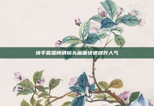快手直播间调镜头画面快速提升人气