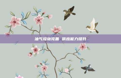 油气设施完善 供应能力提升