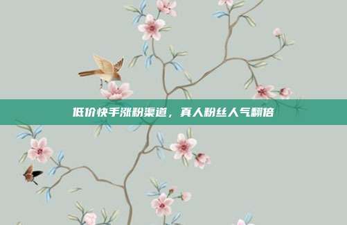 低价快手涨粉渠道，真人粉丝人气翻倍