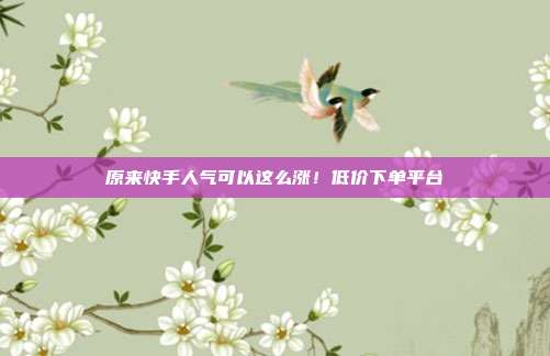 原来快手人气可以这么涨！低价下单平台