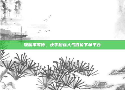 涨粉不等待，快手粉丝人气低价下单平台