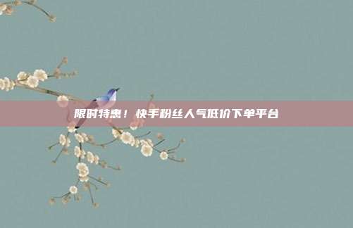 限时特惠！快手粉丝人气低价下单平台