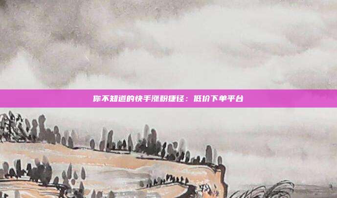 你不知道的快手涨粉捷径：低价下单平台