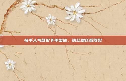 快手人气低价下单渠道，粉丝增长看得见