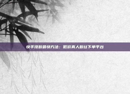 快手涨粉最快方法:低价真人粉丝下单平台