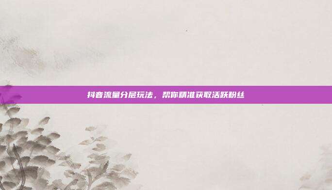抖音流量分层玩法，帮你精准获取活跃粉丝
