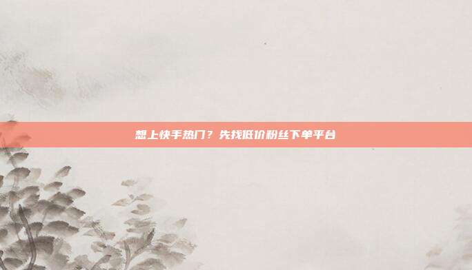 想上快手热门？先找低价粉丝下单平台