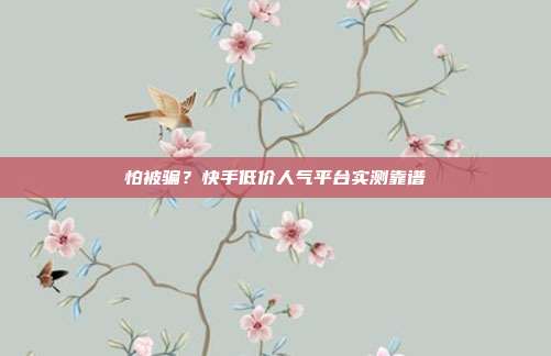 怕被骗？快手低价人气平台实测靠谱