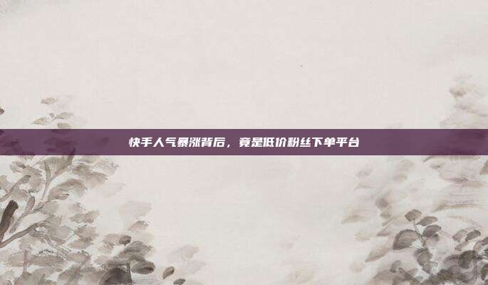 快手人气暴涨背后，竟是低价粉丝下单平台