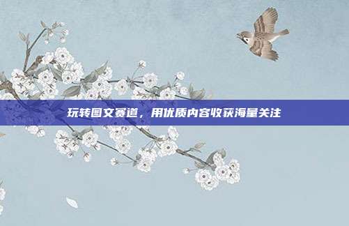 玩转图文赛道，用优质内容收获海量关注