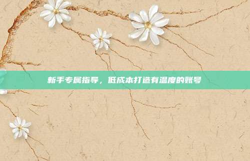 新手专属指导，低成本打造有温度的账号