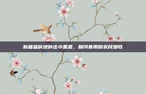 新疆盐碱地种出小黑麦，粮饲兼用助农民增收