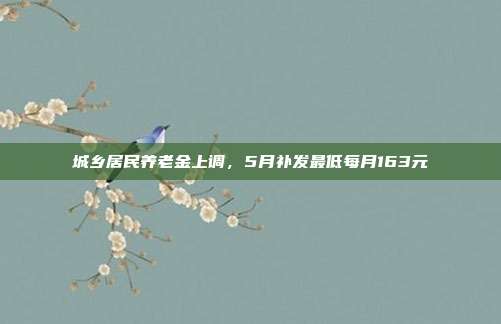 城乡居民养老金上调,5月补发最低每月163元