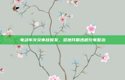 电动车火灾事故频发，多地开展违规充电整治